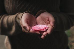 A partial image of a person's torso, white hands held outwards, holding a pink flower.